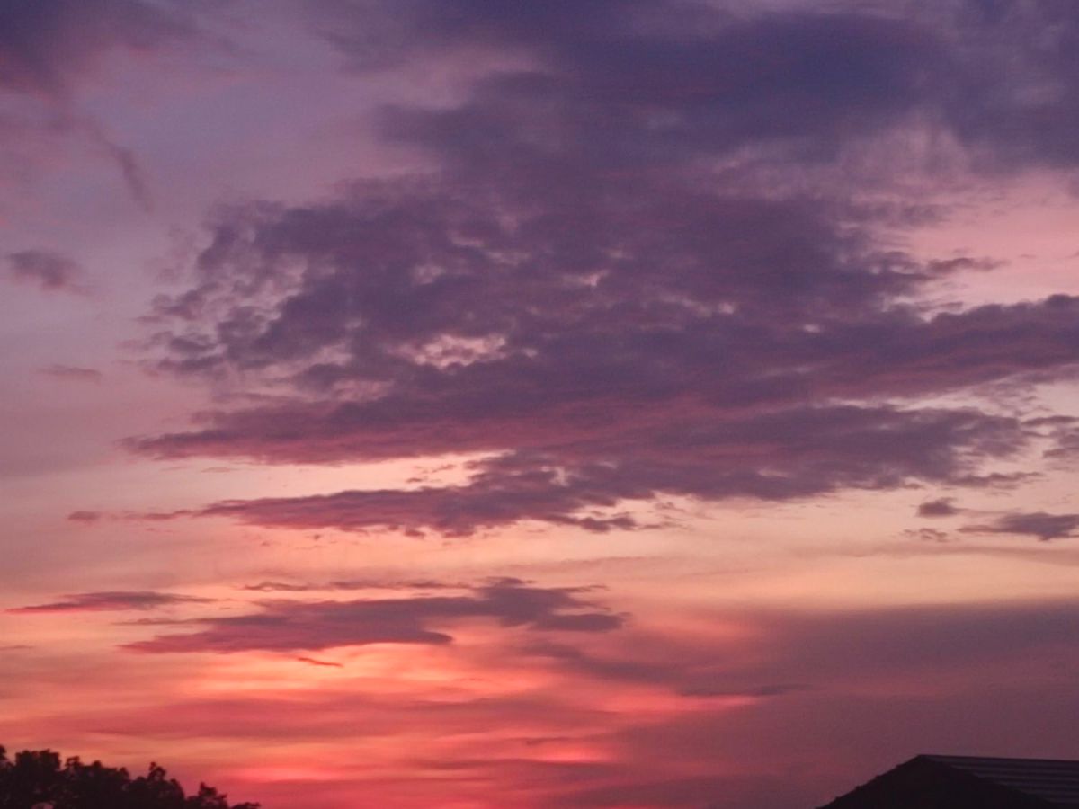 My life in a Nut&nbsp;Shell