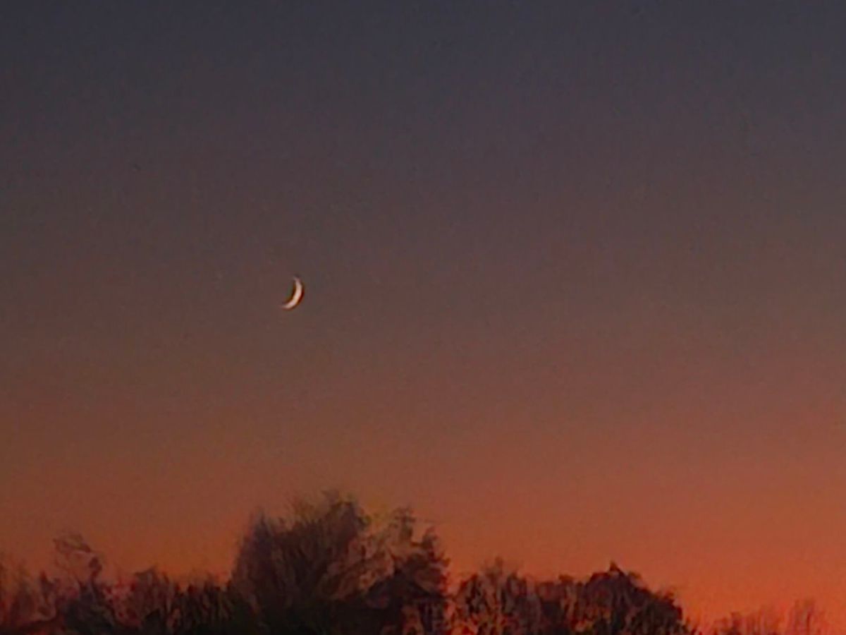 What Love Means to&nbsp;Me